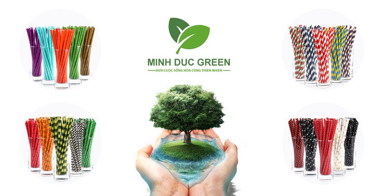 ống hút giấy giá sỉ