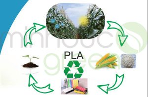 ly giấy, ống hút giấy PLA