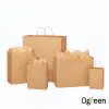 túi giấy kraft dgreen