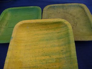 sản phẩm chén, đĩa làm bằng lá chuối khô